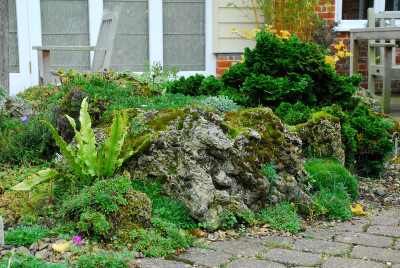 2017-10-02 Privatgarten 15.jpg