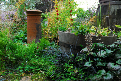 2017-10-02 Privatgarten 21.jpg