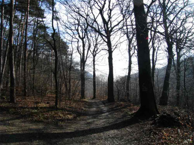 nudorf1.jpg