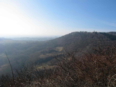kahlenberg1.jpg