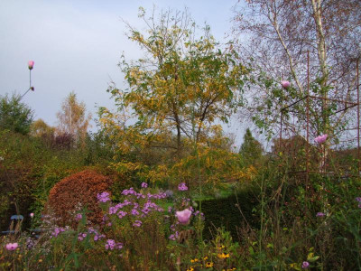 18.10.2017 15-09-47_3099.jpg