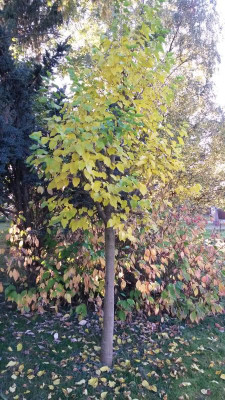 20171017_164634.jpg