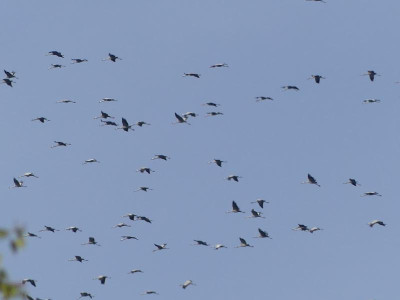 P1010336.JPG