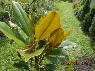 DSCN2559.jpg