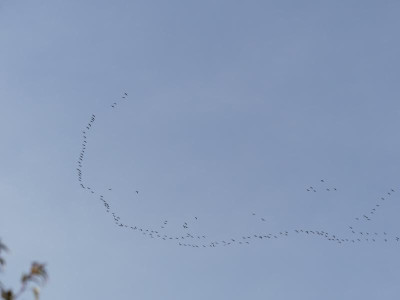 P1010337.JPG