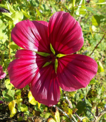2017-10-15 11.31.46.jpg