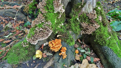 DSC03578.JPG