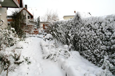 Garten010780.jpg