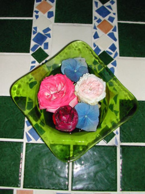 DSCN6001.jpg