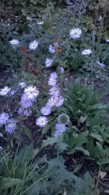 WP_20171019_008.jpg