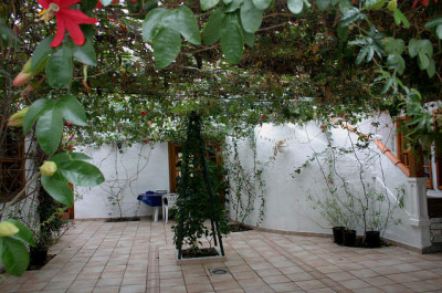 La_Palma08jpg.jpg