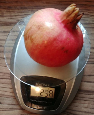 PGXXL_211017.jpg