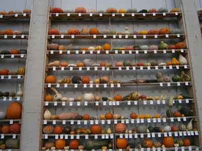 Okt 17 002.JPG