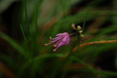 DSCF4097_2721.JPG