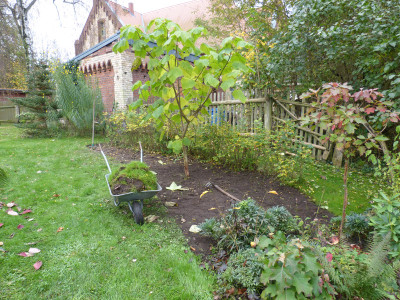 2017-10-22 Garteneinblick 1.jpg