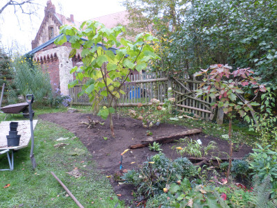 2017-10-22 Garteneinblick 3.jpg