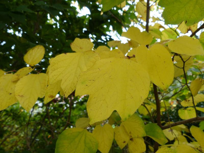 P1020184.JPG