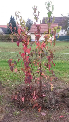 20171023_110510.jpg