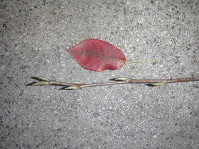 CIMG6149.JPG