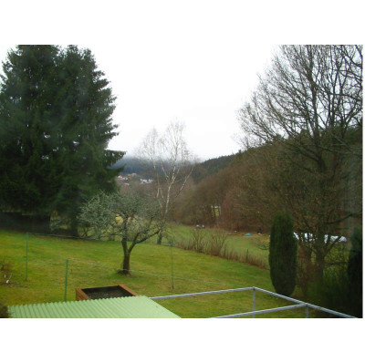 Grau_in_grau_12.02.07.jpg