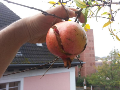 20171026_100621.jpg
