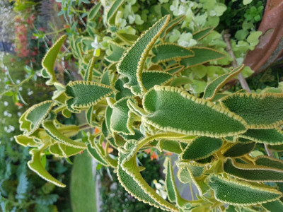 20171006_154005.jpg