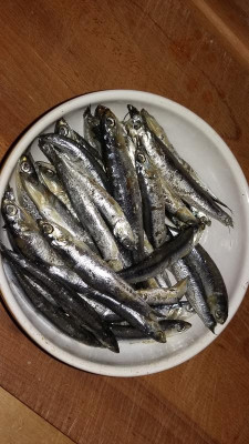 Sardellenbor.jpg
