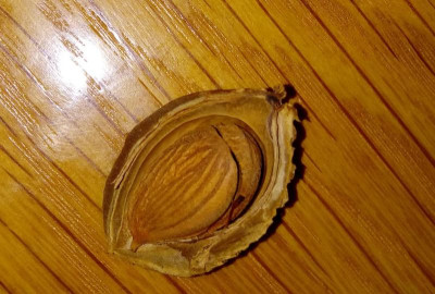 20171026_182642.jpg