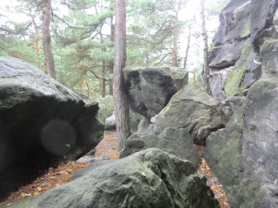 CIMG0110.JPG