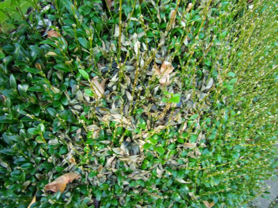 30.10.2017 11-10-03_3174.jpg