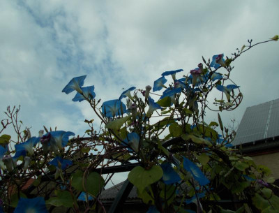 2017-10-20 10.20.39.jpg