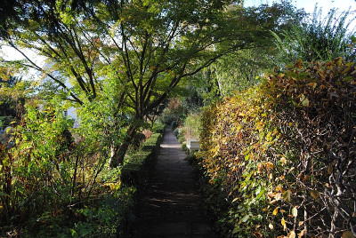 Foerstergarten2017_10_30_04.jpg