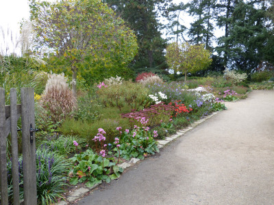 2017-10-31 Foerstergarten 1.jpg