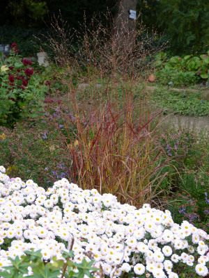 2017-10-31 Foerstergarten 3.jpg