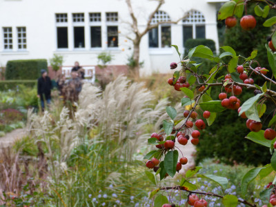 2017-10-31 Foerstergarten 8.jpg