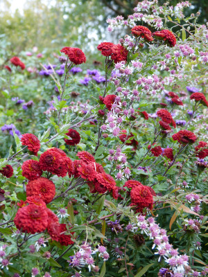 2017-10-31 Foerstergarten 9.jpg