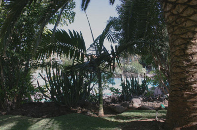 La_Palma28.jpg