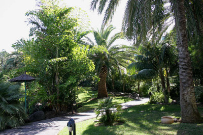 La_Palma32.jpg