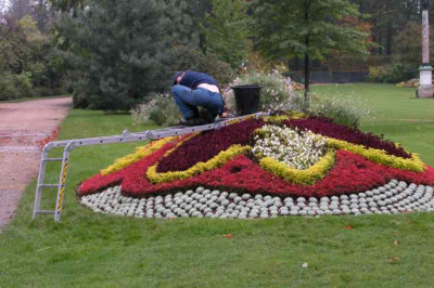 versailles2.jpg