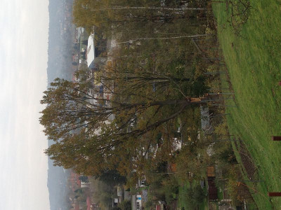 k-IMG_0854.JPG