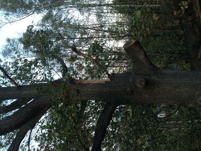 k-IMG_0844.JPG