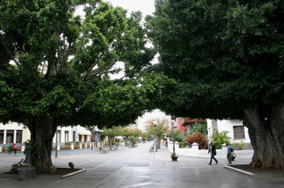 La_Palma25.jpg