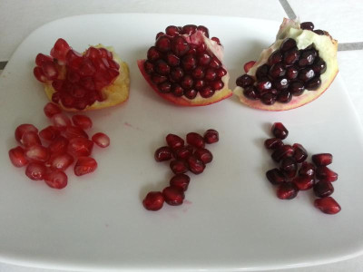 20171103_103310.jpg