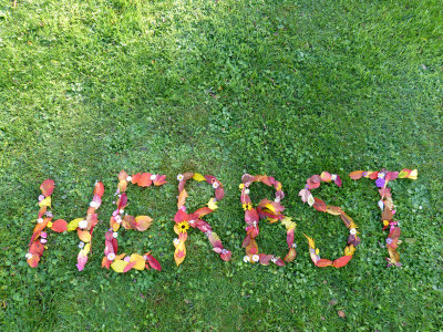 2017-11-04 Herbst.jpg