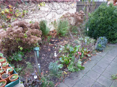 2017-10-28 Garteneinblick 3.jpg