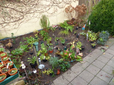 2017-11-04 Garteneinblick 1.jpg