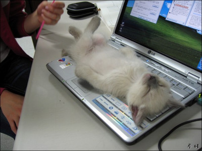 Arbeitskater2.jpg