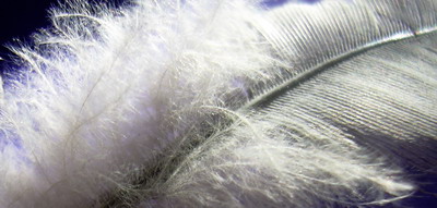 m._012.jpg