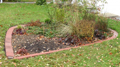DSCN1153.JPG
