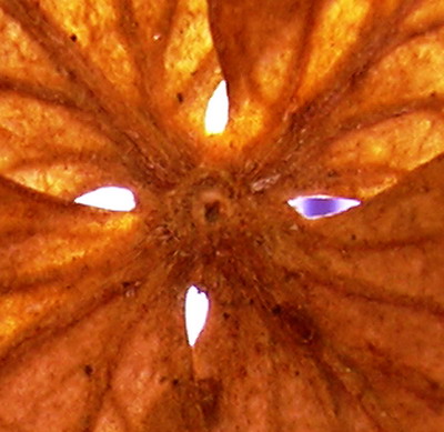 m._029.jpg